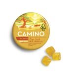 Camino 5:5 Mango Serenity CBD 'Balance' Gummies