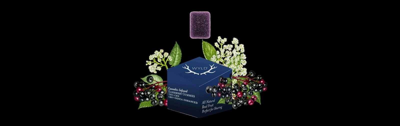 1762298694-1762236096-387866627_dfb0dda3-63eb-4744-8af8-042952f5b7b6.jpg Elderberry 2:1 THC:CBN Gummies | 10-Pack | 50mg - Image 1