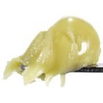 Dark Rainbow - 1G Live Rosin Cold Cure Badder - Tier 2