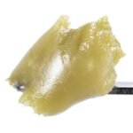 Gelato Mintz - 1G Live Rosin Cold Cure Badder - Tier 3