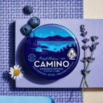 Camino Midnight Blueberry 5:1 THC:CBN Sleep Gummies 20pc